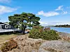Bildene fra hovedkameraet er flotte og blir ikke veldig mye bedre med med en telefon til ti tusen mer – med unntak at de er vel mye oppskarpet når man går inn på dem. Noe man sjelden gjør. Foto: Odd Richard Valmot