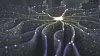 Artificial neuron in concept of artificial intelligence. Wall-shaped binary codes make transmission lines of pulses and/or information in an analogy to a microchip. Neural network and data transmission.