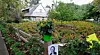 PALO ALTO, CALIFORNIA: Hjemmet til Apples avdøde grunnlegger Steve Jobs, og hans enke Laurene Powell ble rammet av innbrudd i midten av juli.