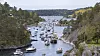 Det er ventet mye båttrafikk i sommer. Her markeres 17. mai 2020 i Lillesand.