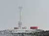 En av Grønlands siter i gråvær.