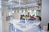 Telenor sender nå sine innovative miljøer inn i Startuplab, som er den største inkubatoren i landet.