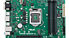 Hovedkortet Asus Prime B360M-C er blant dem som nå kan klargjøres for Windows 11.