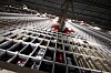 Logistikksystemet til komplett.no domineres av disse robotbilene, som kjører rundt og henter varer så fort det kommer inn bestilling på nettet. Nå skal Komplett eksportere teknologien ut til Europa.