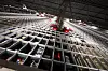Logistikksystemet til komplett.no domineres av disse robotbilene, som kjører rundt og henter varer så fort det kommer inn bestilling på nettet. Nå skal Komplett eksportere teknologien ut til Europa.