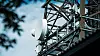 Beregninger fra Nasjonal kommunikasjonsmyndighet (Nkom) viser at nærmere 46 prosent av husstandene i Norge vil kunne motta 5G-signaler med en nedlastningshastighet på 100 Mbit/s eller mer.