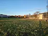 Xperia 5 II