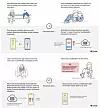 Slik forklarer Apple og Google teknologien selv i en grafikk. (faksimile fra dokumentet Exposure Notification Frequently Asked Questions fra Apple | Google).
