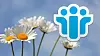 IBM forplikter seg til å støtte Notes og Domino i lang tid.