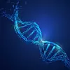 Fremtidens lagringsteknologi er inspirert av DNA-molekylet, her illustrert. Foto: Colourbox/60743415